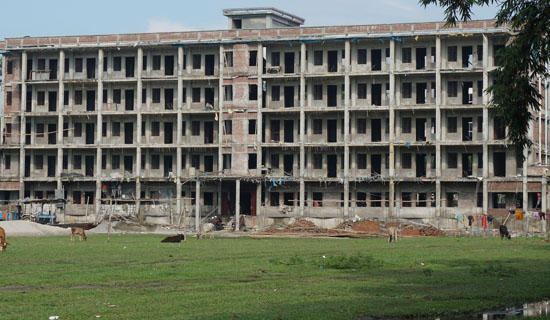 Domar Government College